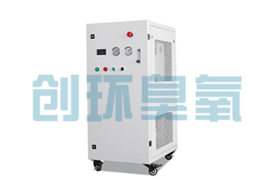 南岸石斑鱼养殖水质调控完整指南：臭氧发生器配置与操作步骤