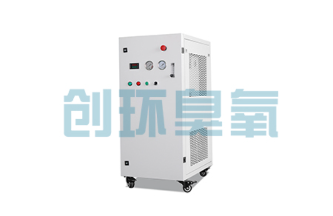 南岸比传统换水更高效？臭氧发生器在石斑鱼养殖中的水质净化原理解析